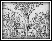 "Myrrha accouche d'Adonis par son écorce" by Bernard Salomon (1557).